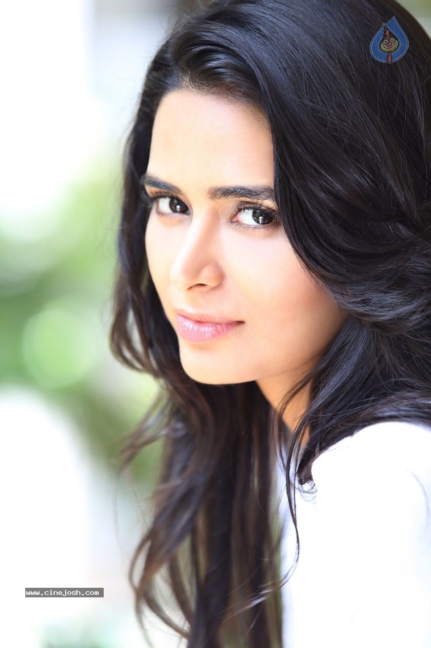 Meenakshi Dixit Latest Pics - 4 / 15 photos