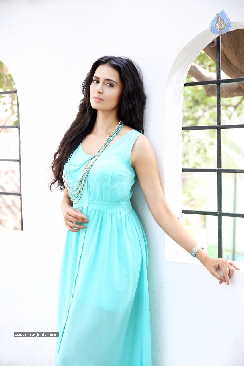 Meenakshi Dixit Latest Pics - 5 / 15 photos