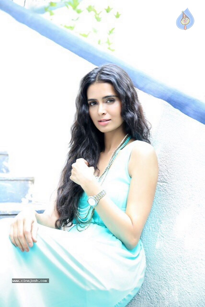 Meenakshi Dixit Latest Pics - 10 / 15 photos