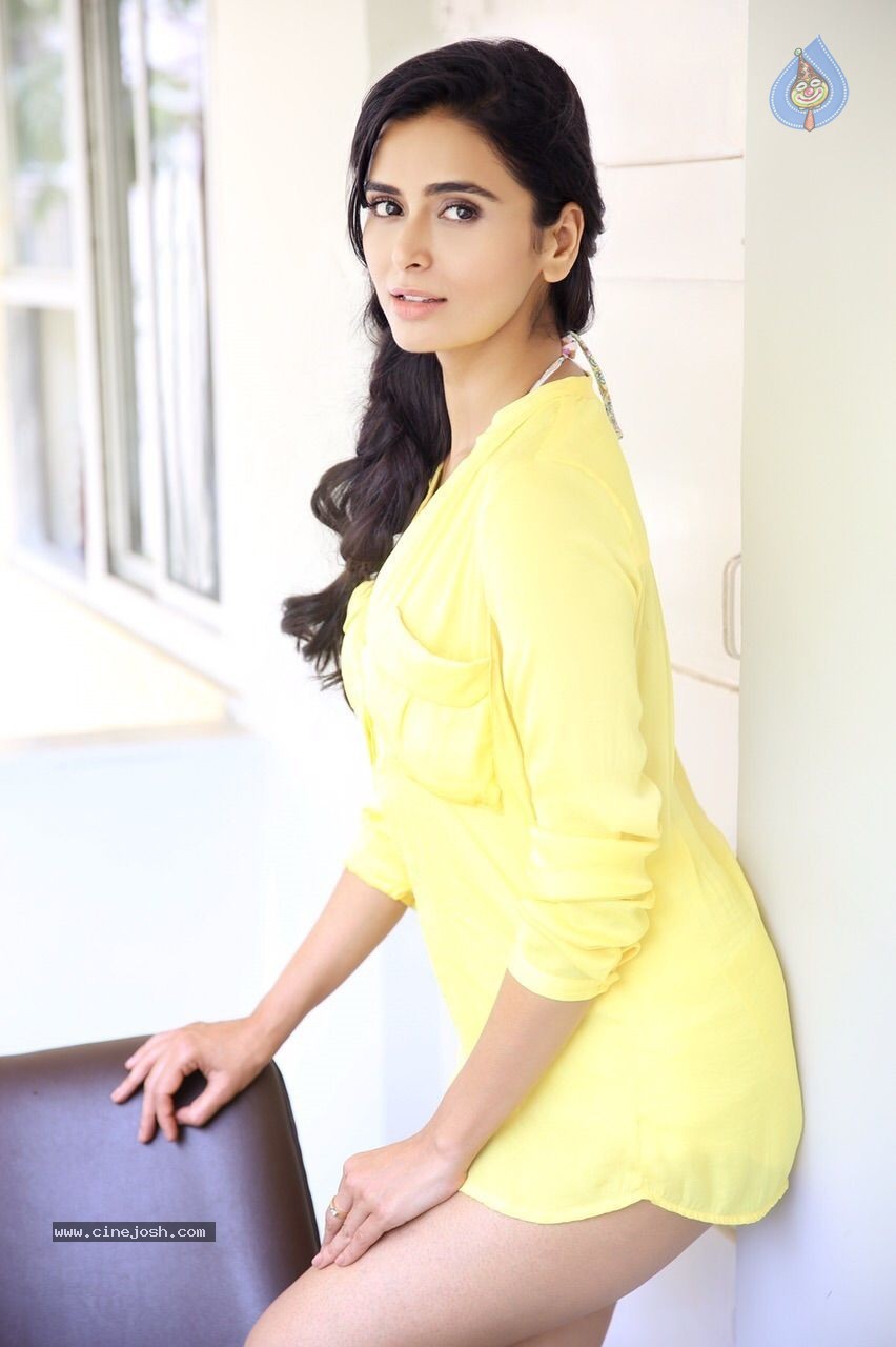 Meenakshi Dixit Latest Pics - 15 / 15 photos