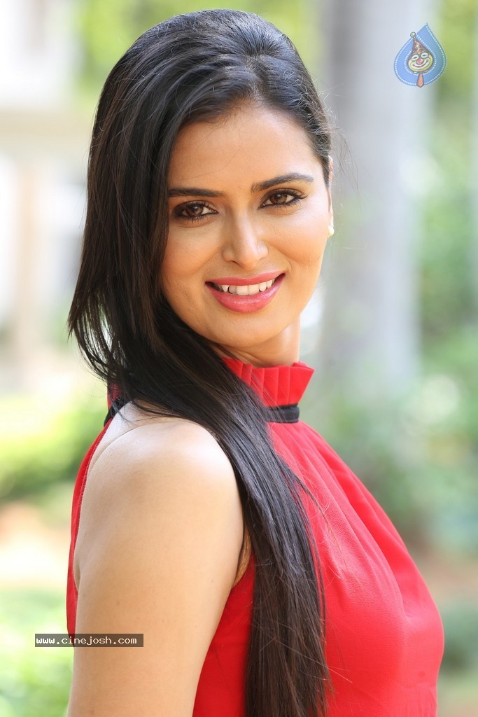 Meenakshi Dixit New Photos - 66 / 100 photos