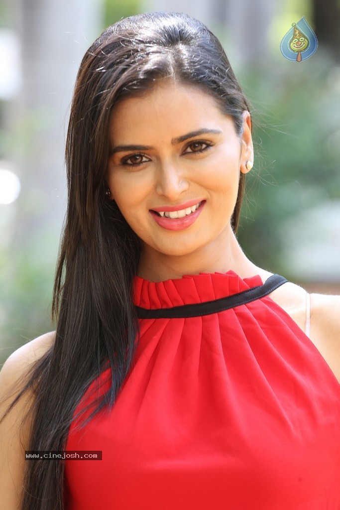 Meenakshi Dixit New Photos - 83 / 100 photos