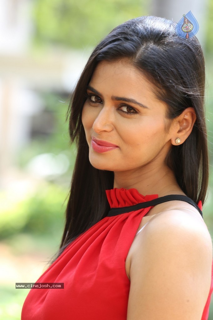 Meenakshi Dixit New Photos - 96 / 100 photos