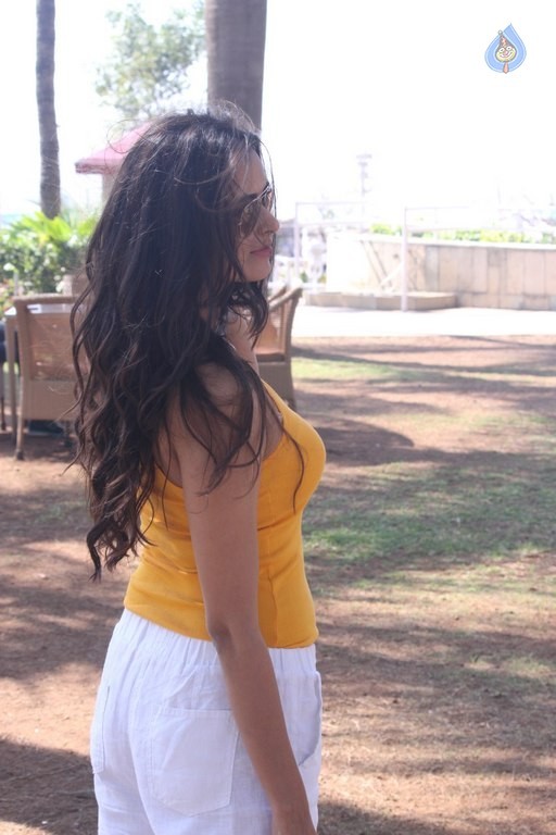 Meenakshi Dixit New Photos - 26 / 63 photos