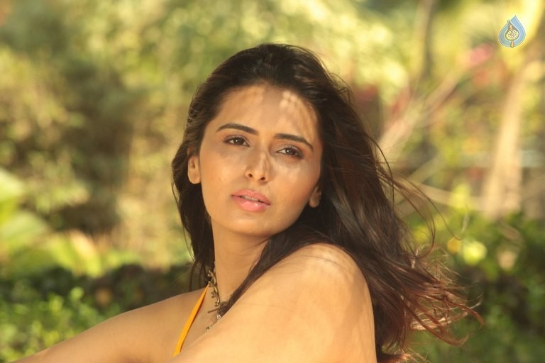Meenakshi Dixit New Photos - 37 / 63 photos