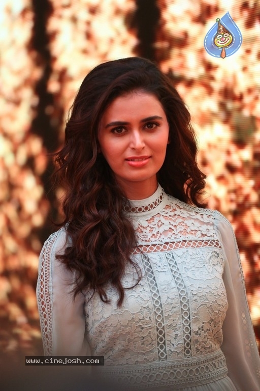 Meenakshi Dixit Photos - 13 / 28 photos