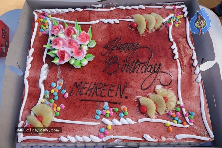 Mehreen Birthday Celebration Stills - 9 / 17 photos