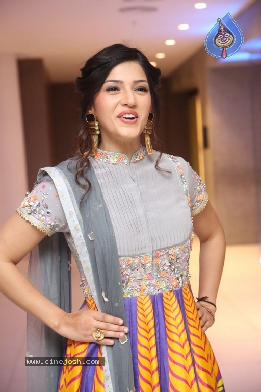 Mehreen Kaur Pirzada Gallery - 4 / 21 photos
