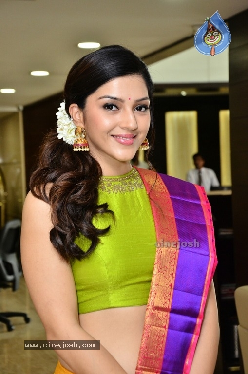 Mehreen Kaur Pirzada Pics - 13 / 14 photos