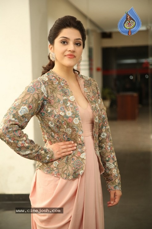 Mehrene Kaur Interview Photos - 7 / 20 photos