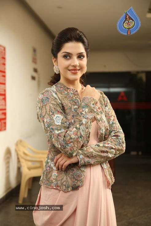 Mehrene Kaur Interview Photos - 13 / 20 photos