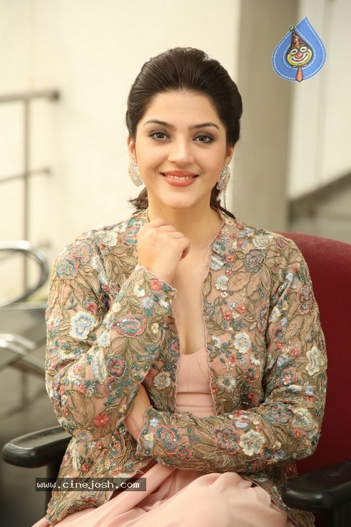 Mehrene Kaur Interview Photos - 14 / 20 photos