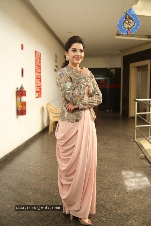 Mehrene Kaur Interview Photos - 20 / 20 photos