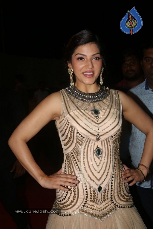 Mehrene Kaur Pirzada Gallery - 4 / 15 photos