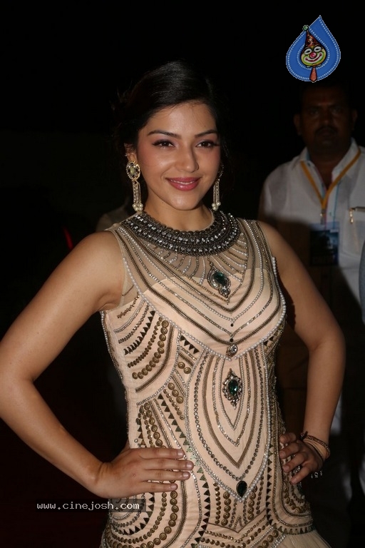 Mehrene Kaur Pirzada Gallery - 8 / 15 photos