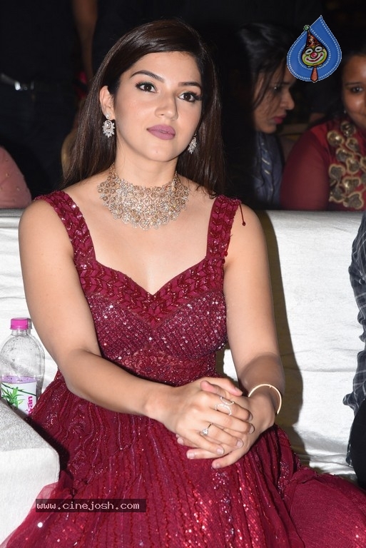 Mehrene Kaur Pirzada Photos - 15 / 17 photos