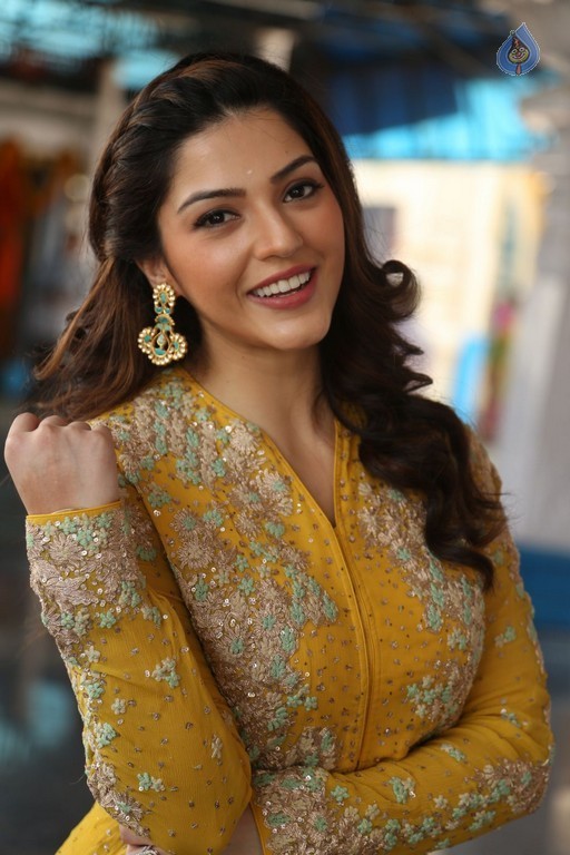 Mehrene Kaur Pirzada Photos - 23 / 42 photos