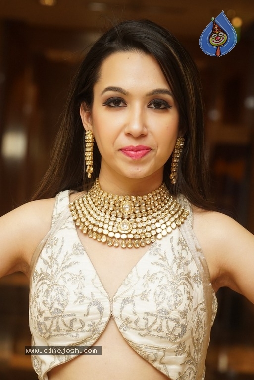 Model Ankita Sethi Latest Pics - 12 / 15 photos