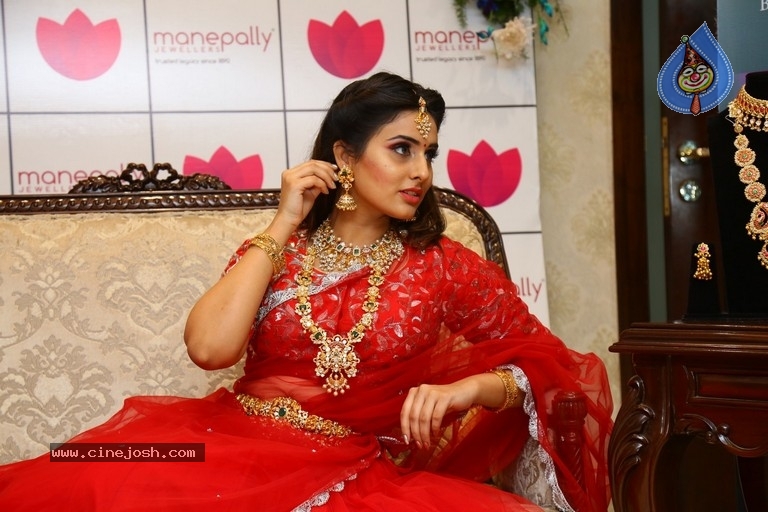 Model Nikitha Chaturvedi Stills - 9 / 17 photos