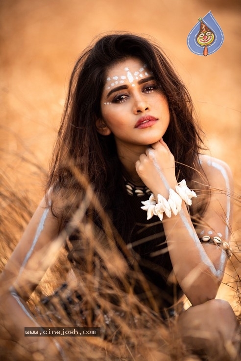 Nabha Natesh Crazy Tribal Photoshoot - 5 / 5 photos