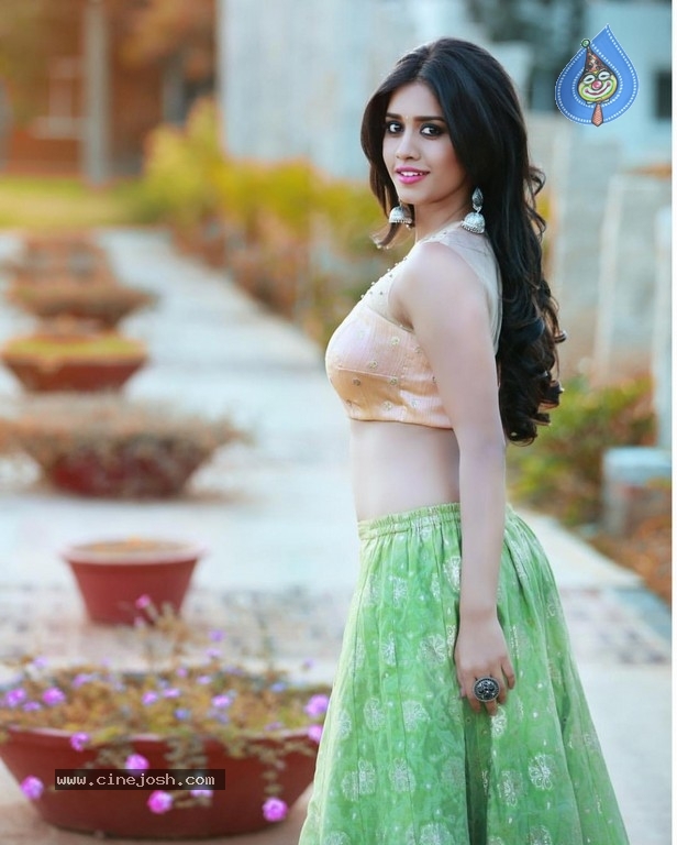 Nabha Natesh Latest Pictures - 5 / 10 photos