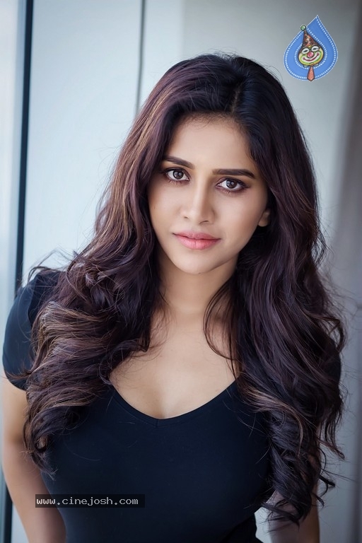 Nabha Natesh New Photos - 5 / 5 photos