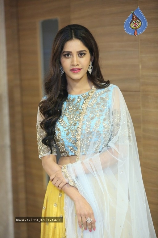 Nabha Natesh New Photos - 4 / 28 photos