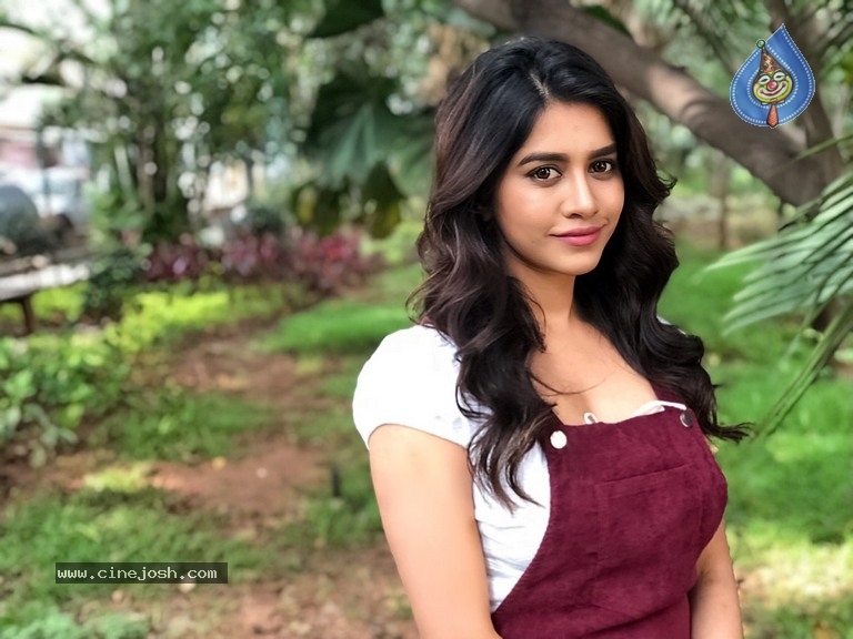 Nabha Natesh New Photos - 2 / 8 photos