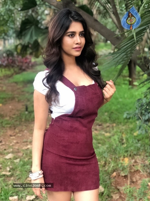 Nabha Natesh New Photos - 7 / 8 photos