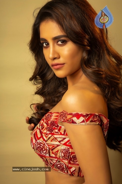 Nabha Natesh Stills - 1 / 6 photos