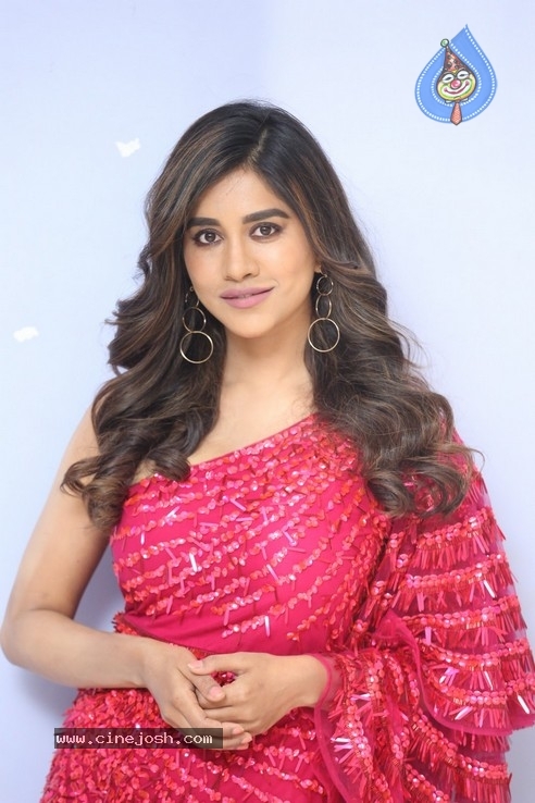 Nabha Natesh Stills - 15 / 42 photos