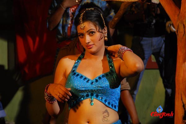 Navneet Kaur Spicy Gallery - 58 / 77 photos