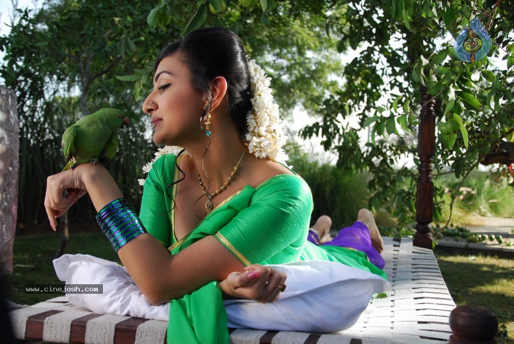 Neelam Upadhyay Hot Photos - 31 / 71 photos