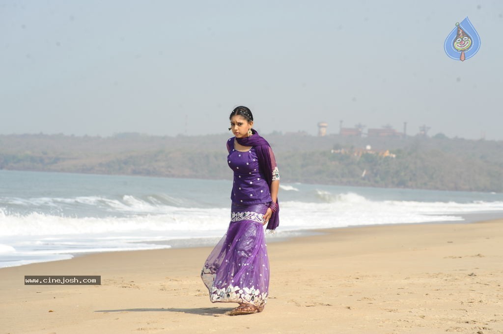 Neethi Taylor New Stills - 29 / 47 photos