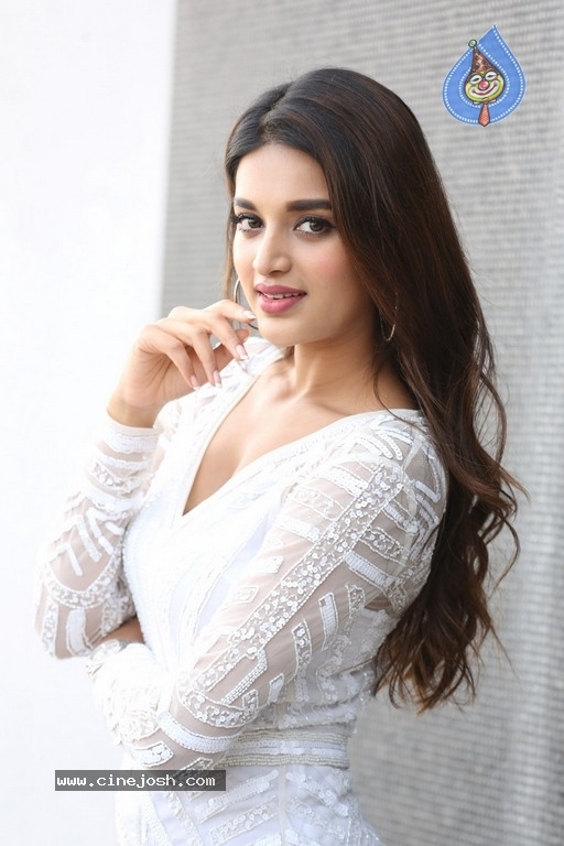 Nidhhi Agerwal Interview Photos - 4 / 20 photos