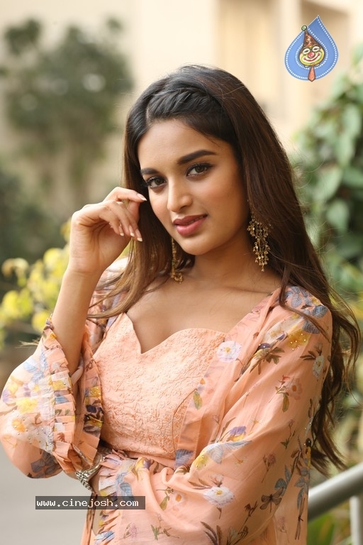 Nidhhi Agerwal Photos - 8 / 31 photos