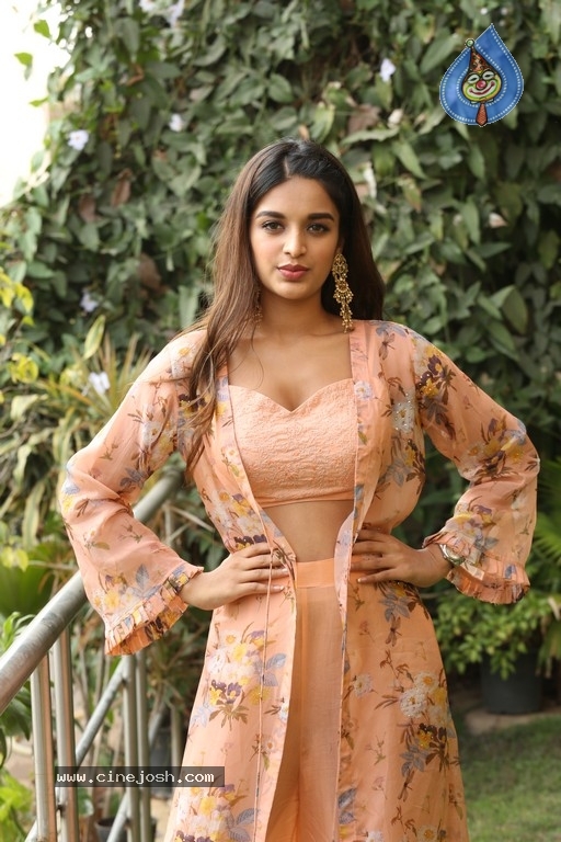 Nidhhi Agerwal Photos - 11 / 31 photos