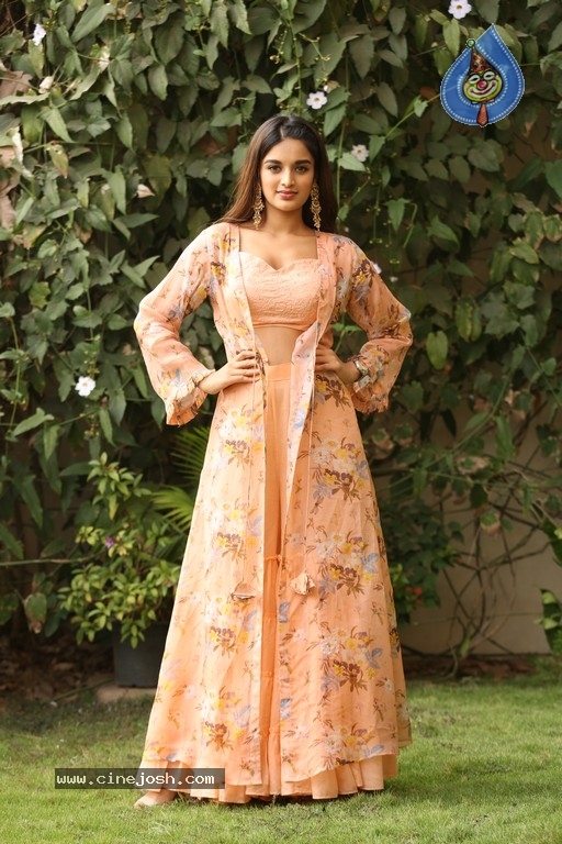 Nidhhi Agerwal Photos - 13 / 31 photos