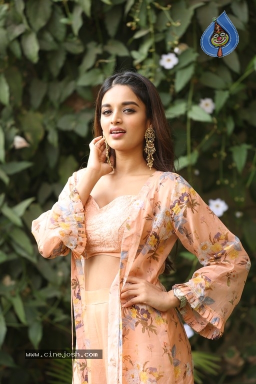 Nidhhi Agerwal Photos - 14 / 31 photos