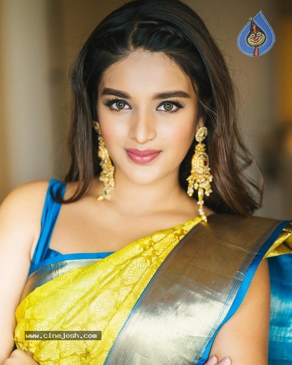 Nidhhi Agerwal Stills - 12 / 12 photos