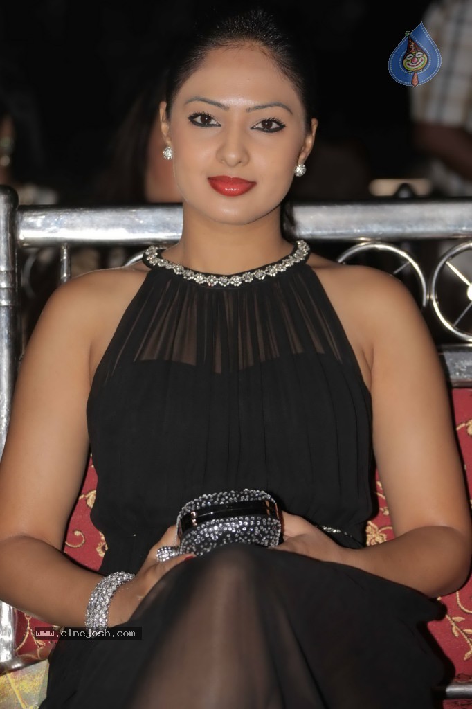 Nikesha Patel New Photos - 29 / 32 photos