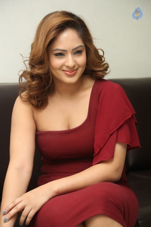Nikesha Patel New Pics - 46 / 57 photos
