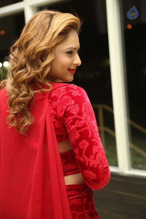 Nikesha Patel New Stills - 16 / 60 photos