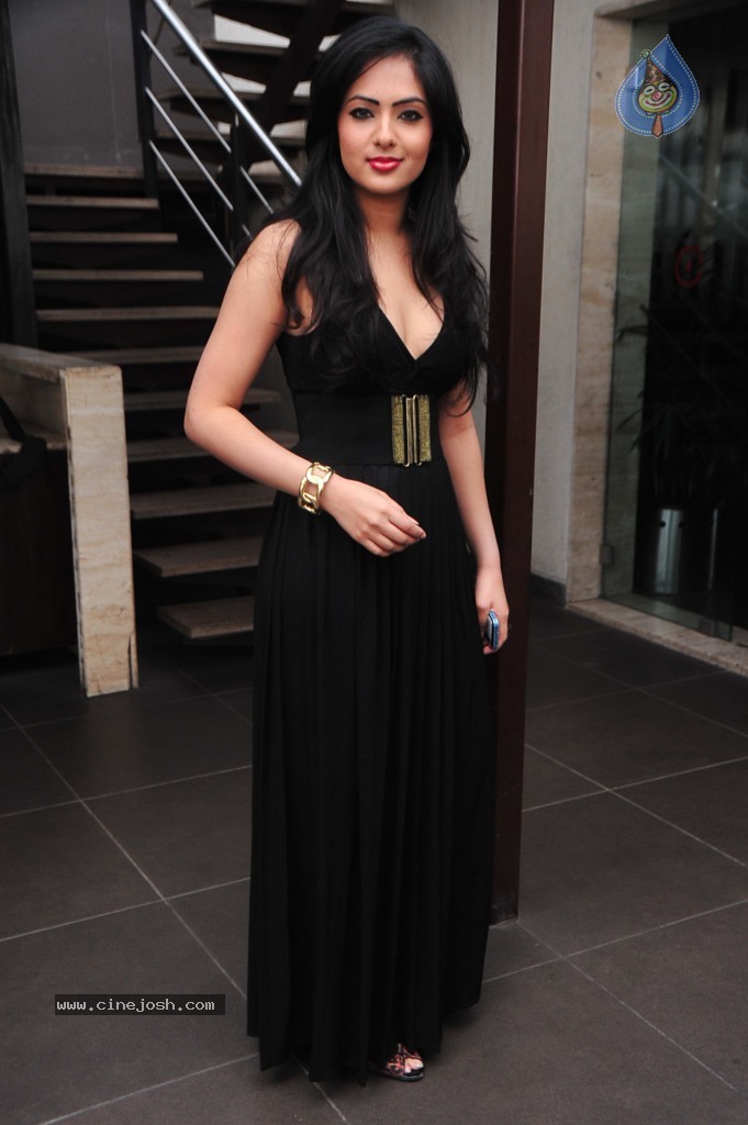 Nikesha Patel New Stills - 18 / 132 photos