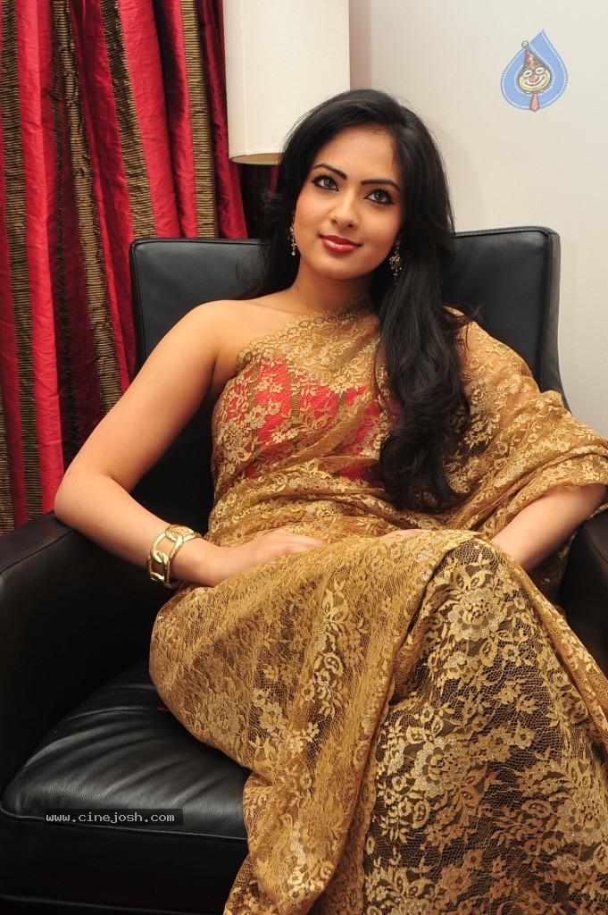 Nikesha Patel New Stills - 22 / 132 photos
