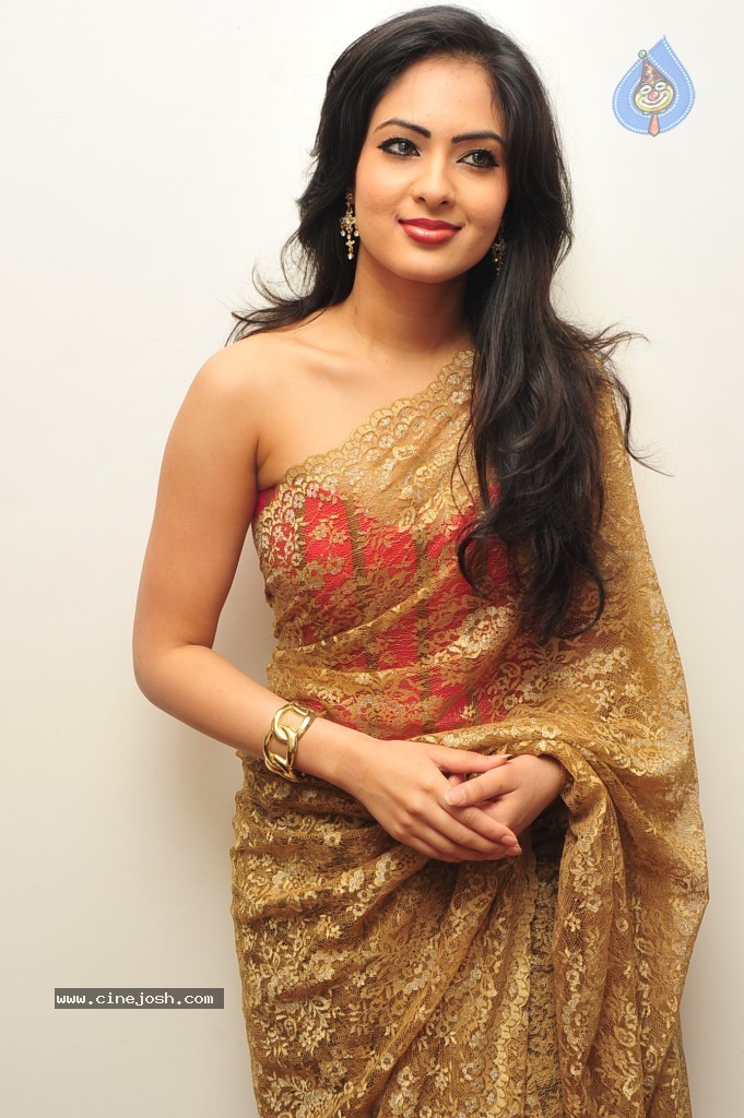 Nikesha Patel New Stills - 45 / 132 photos