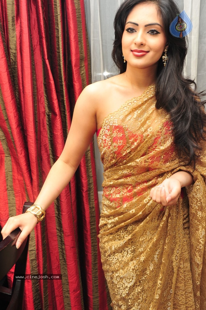 Nikesha Patel New Stills - 48 / 132 photos