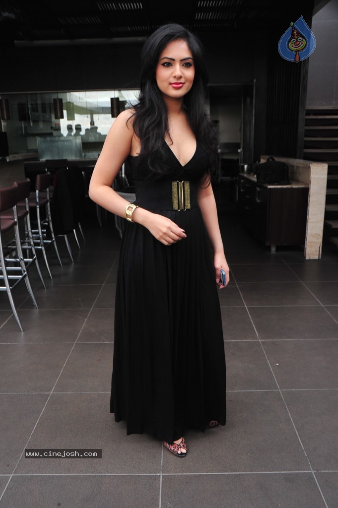 Nikesha Patel New Stills - 50 / 132 photos