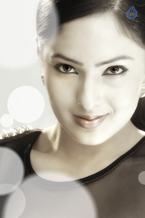 Nikesha Patel Photo Shoot Photos - 11 / 12 photos