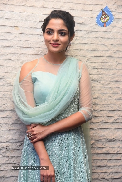 Nikhila Vimal Latest Stills - 11 / 20 photos